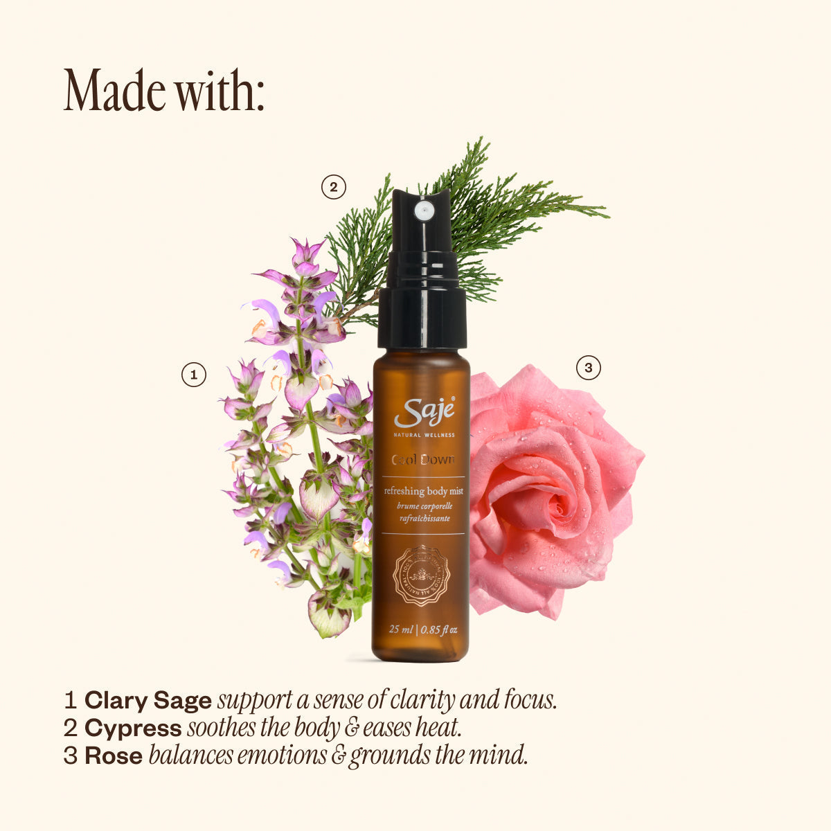 Body Recovery