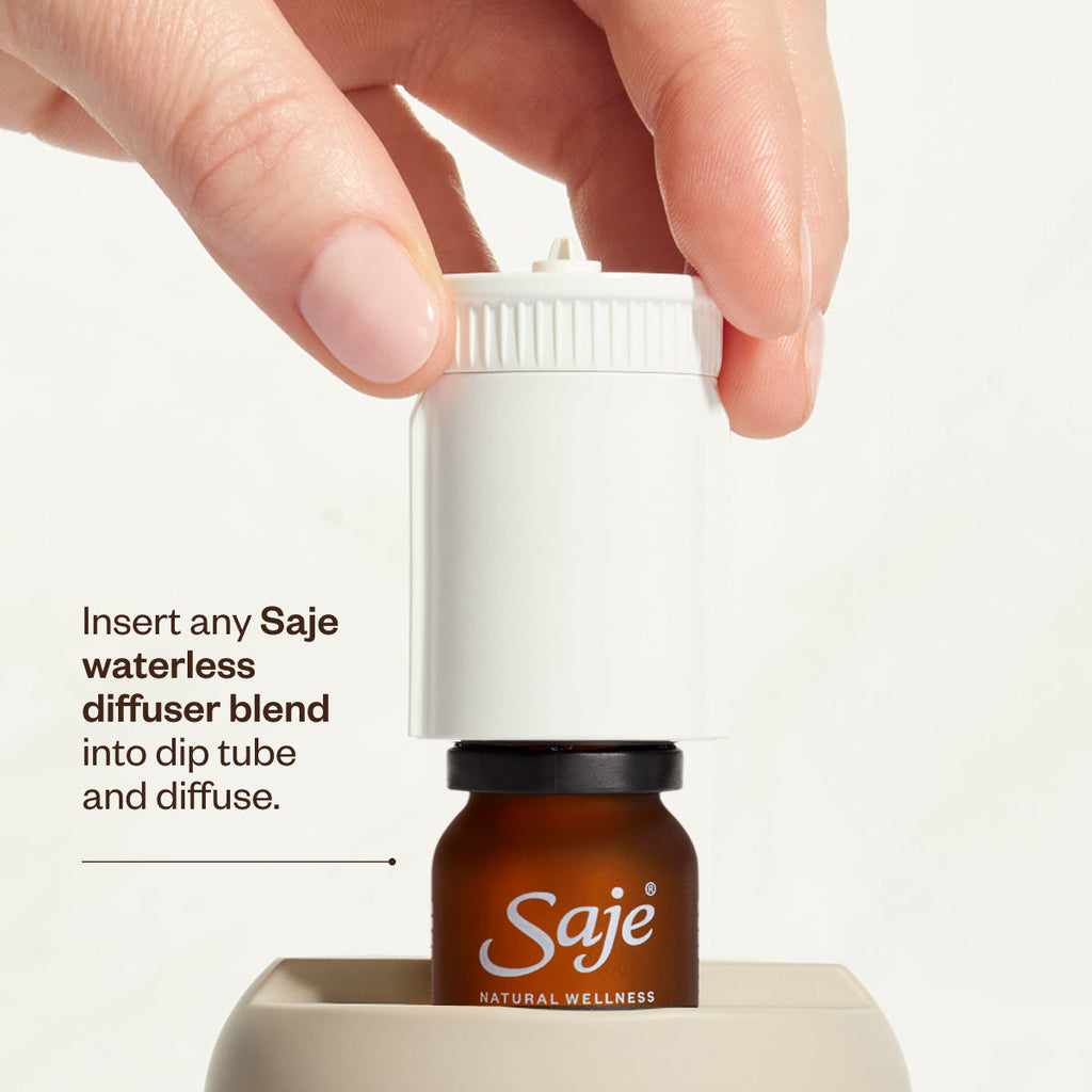 Aroma Aurora
