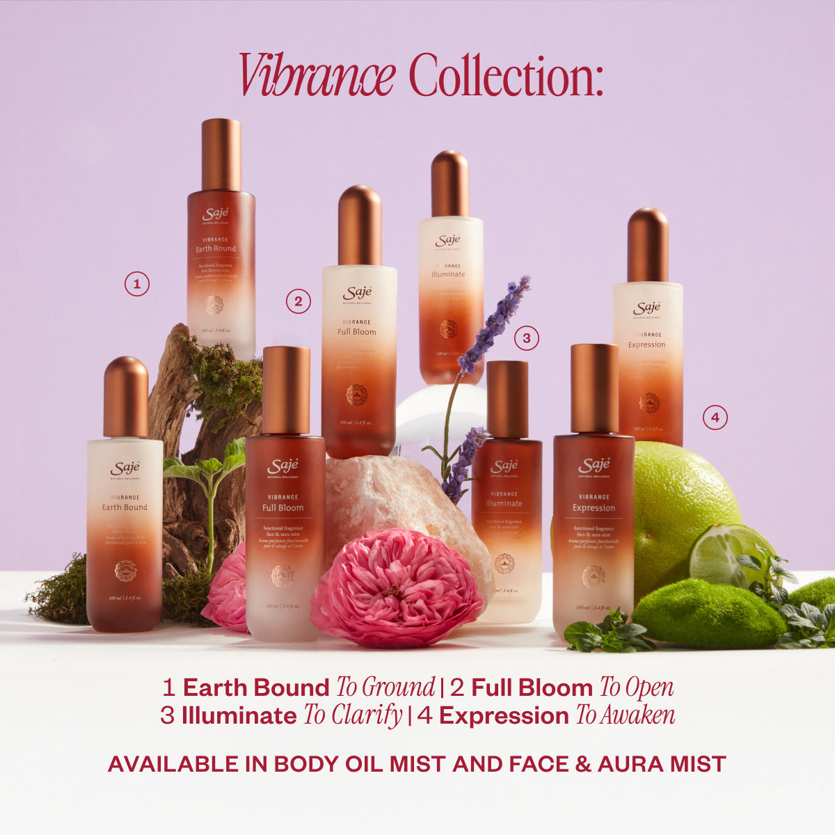 Vibrance Full Bloom